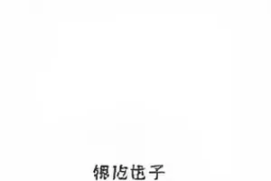 四月不眠剧集深夜窗口灯光剧照